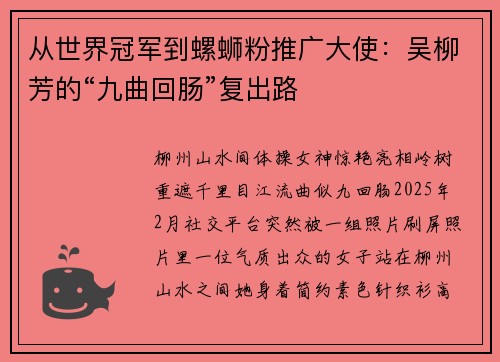 从世界冠军到螺蛳粉推广大使：吴柳芳的“九曲回肠”复出路