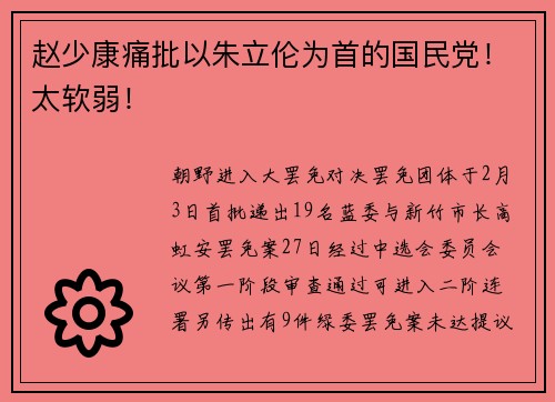 赵少康痛批以朱立伦为首的国民党！太软弱！
