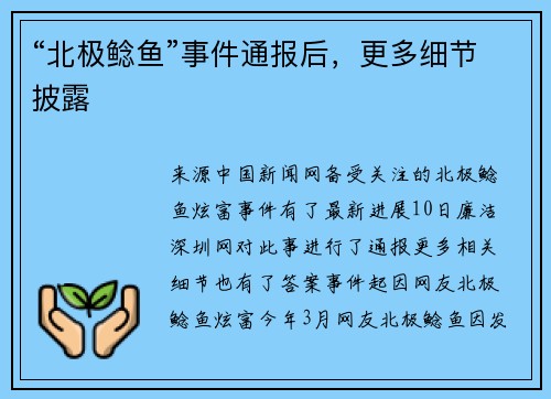 “北极鲶鱼”事件通报后，更多细节披露