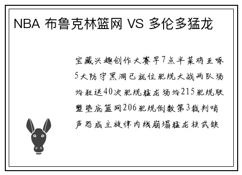 NBA 布鲁克林篮网 VS 多伦多猛龙
