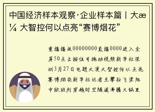 中国经济样本观察·企业样本篇丨大漠大智控何以点亮“赛博烟花”
