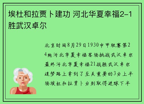 埃杜和拉贾卜建功 河北华夏幸福2-1胜武汉卓尔