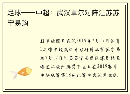 足球——中超：武汉卓尔对阵江苏苏宁易购
